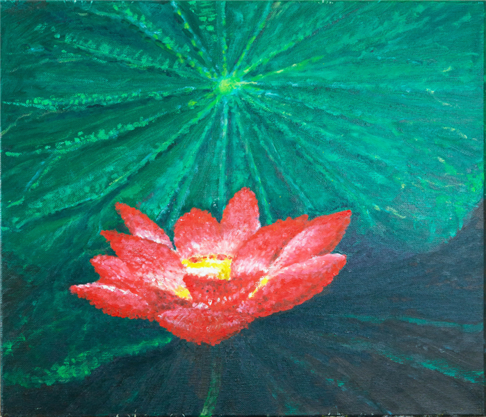 活動花絮相片
